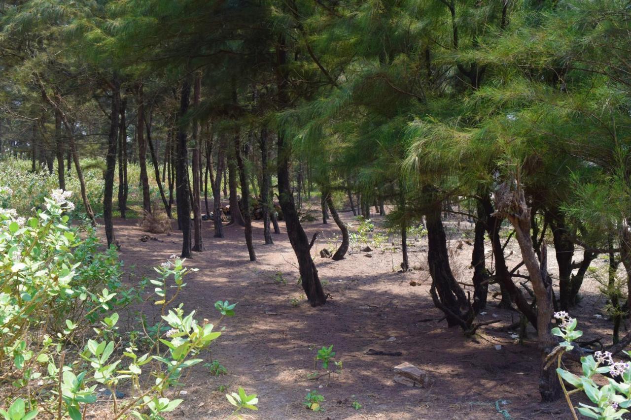 Rama Niwas Beach Home Stay Pawas المظهر الخارجي الصورة