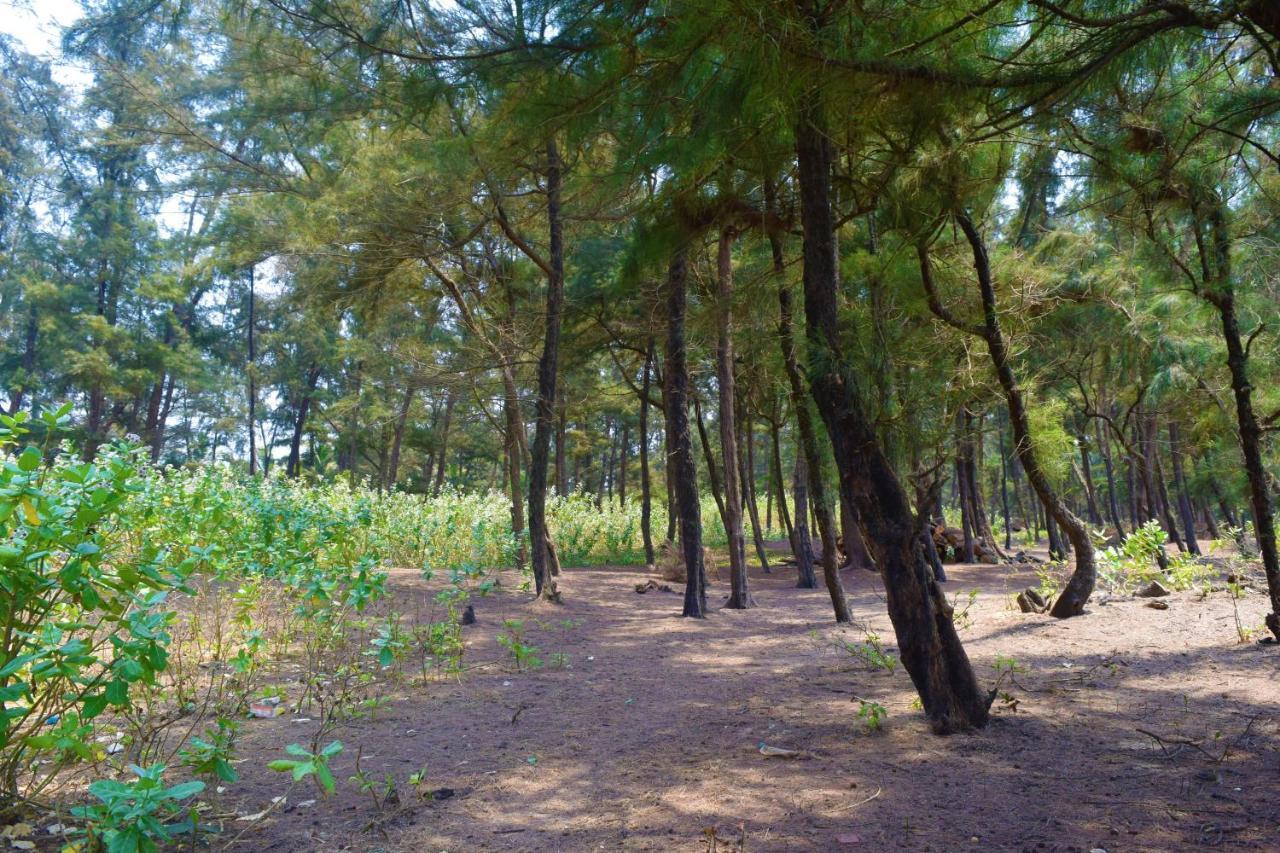 Rama Niwas Beach Home Stay Pawas المظهر الخارجي الصورة